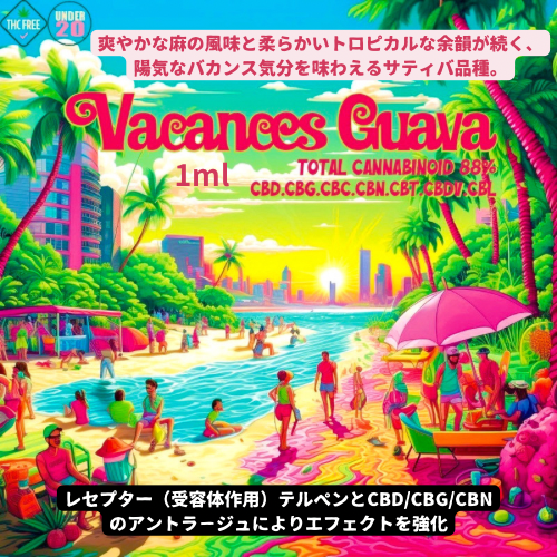 ＋1UP Vacances Guava