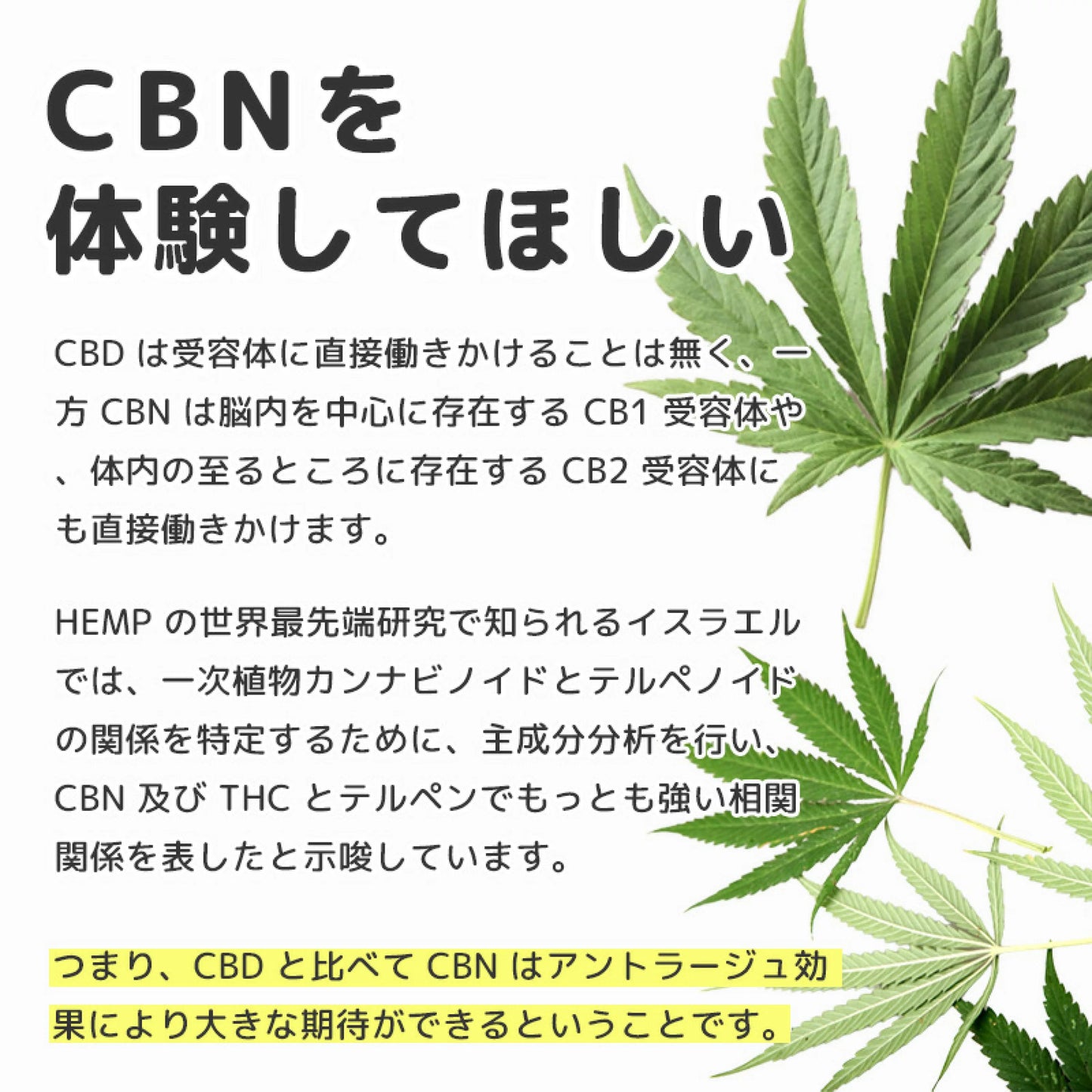 CBD MANIA 高濃度CBNリキッドカ-トリッジ