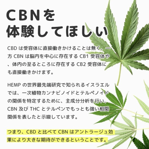 CBD MANIA CBNクッキー CBN420mg