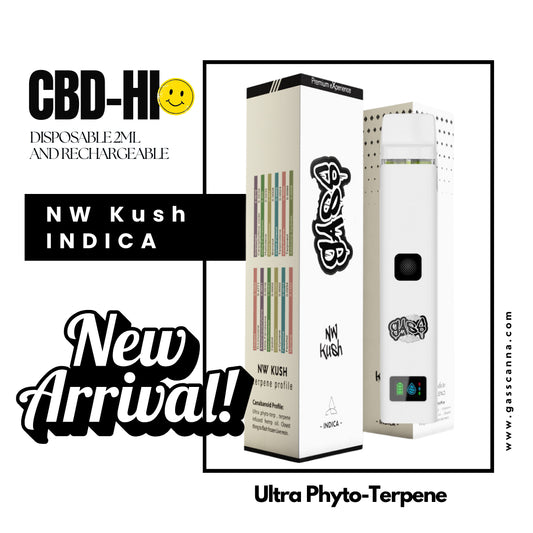 CBD-Hi "NW Kush"
Disposable Vape 2ml【INDICA】